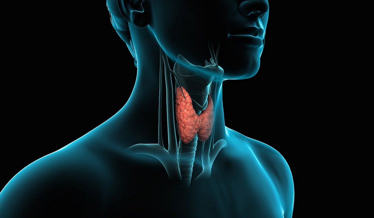 Всемирный день щитовидной железы